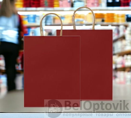 Пакет бумажный подарочный с ручками (23х22х9 см.)